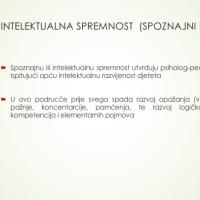 Slide29